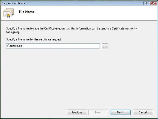 IIS